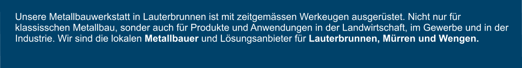 Unsere Metallbauwerkstatt in Lauterbrunnen ist mit zeitgem�ssen Werkeugen ausger�stet. Nicht nur f�r klassisschen Metallbau, sonder auch f�r Produkte und Anwendungen in der Landwirtschaft, im Gewerbe und in der Industrie. Wir sind die lokalen Metallbauer und L�sungsanbieter f�r Lauterbrunnen, M�rren und Wengen.